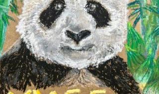 丫丫回国后首露面