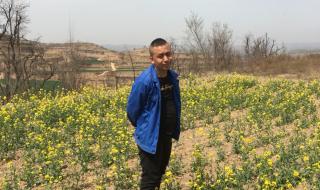 兄弟七八个 兄弟七八个