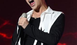 李宇春个人资料简介及 李宇春个人资料简介及