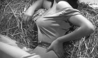 最新好莱坞大片